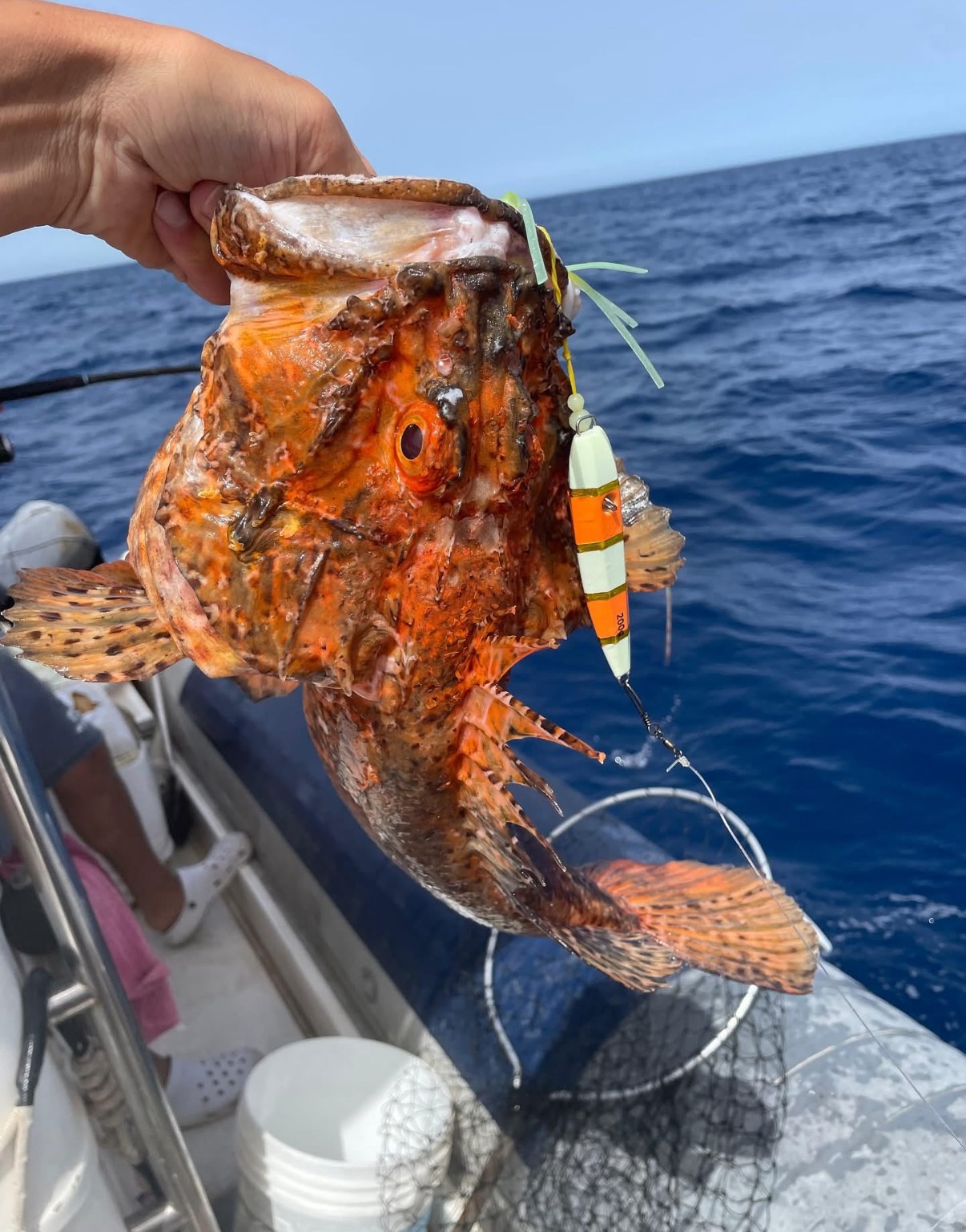 Sport Fishing – Full Day Palermo