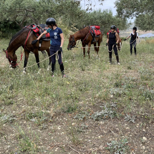 Escursione a Cavallo – Mare e Borghi