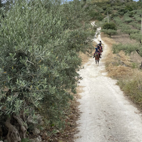 Escursione a Cavallo – Mare e Borghi