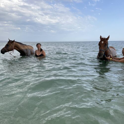 Horseback Riding Experience at Monte Rotondo Beach and Luma