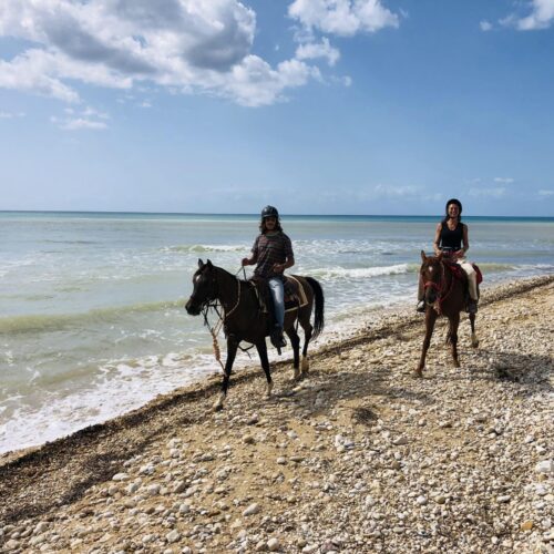 Horseback Riding Experience at Monte Rotondo Beach and Luma