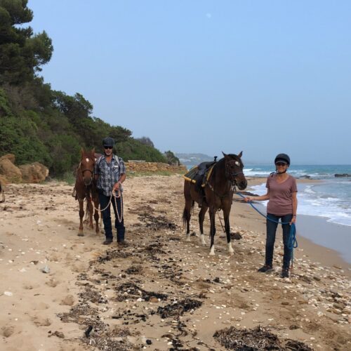 Horseback Riding Experience at Monte Rotondo Beach and Luma