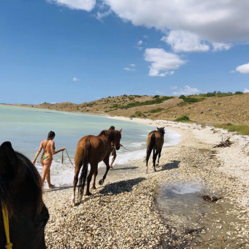 Horseback Riding Experience at Monte Rotondo Beach and Luma