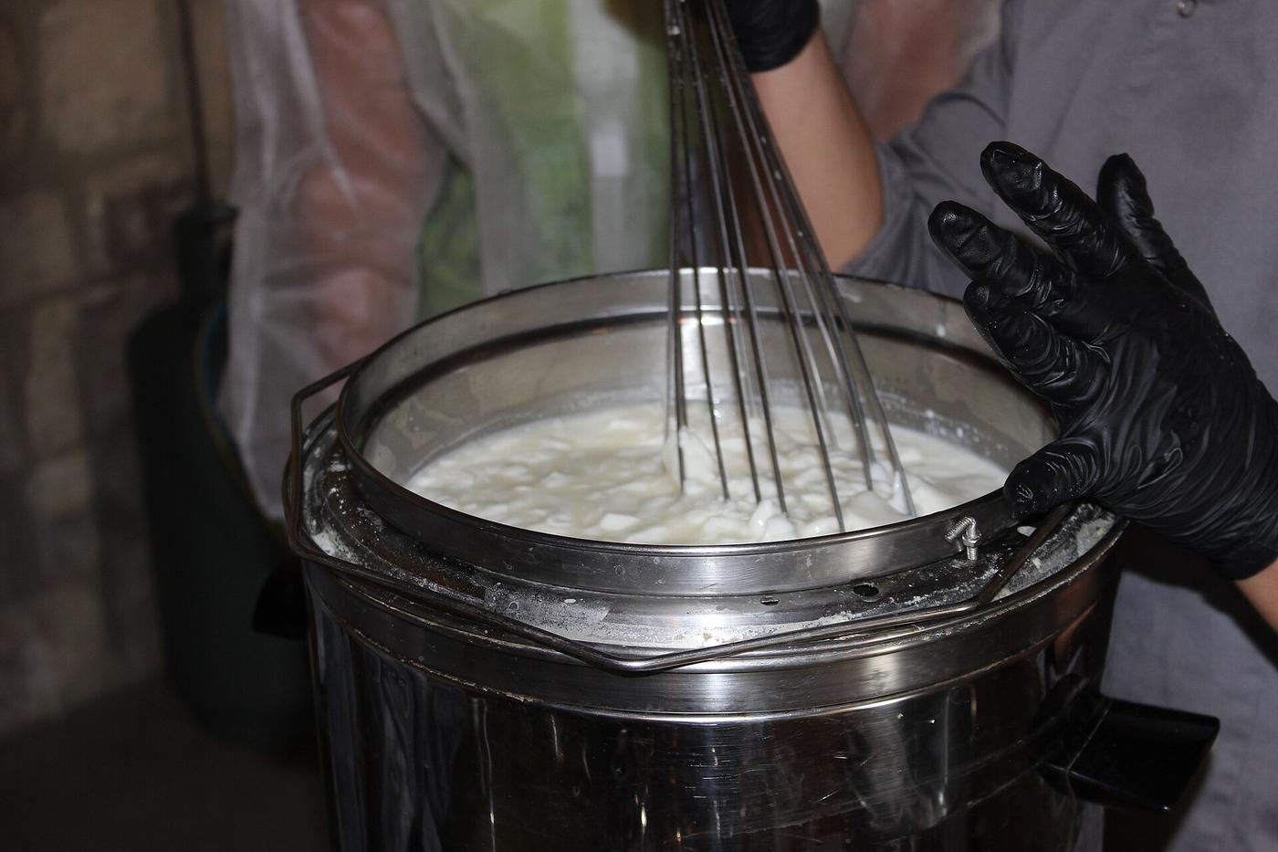 Cheese Experience: in azienda, dagli animali al formaggio