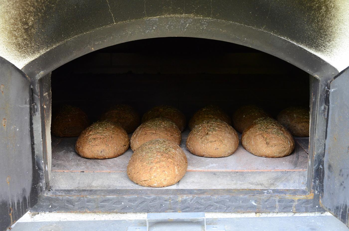 L'essenza del grano: dal chicco al pane