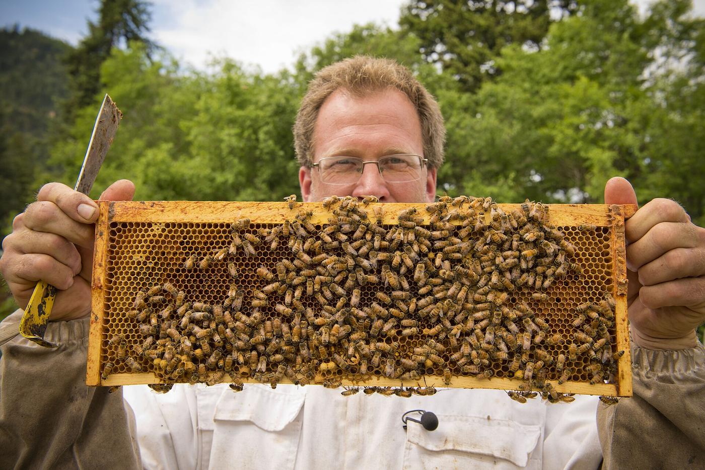 Honey Experience: il mondo del miele