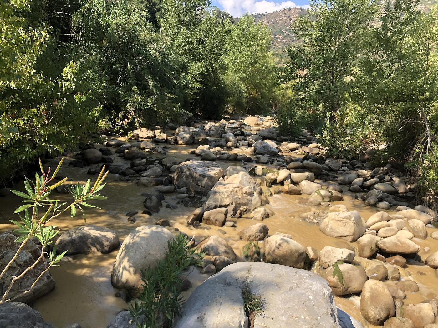 Incontro con i cavalli: natura e connessione