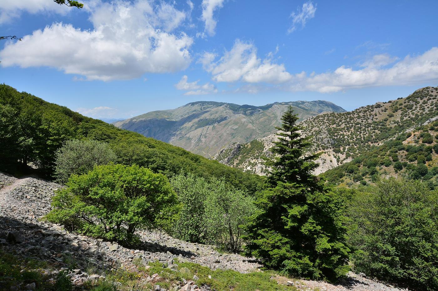 Trekking nelle Madonie: dieci itinerari