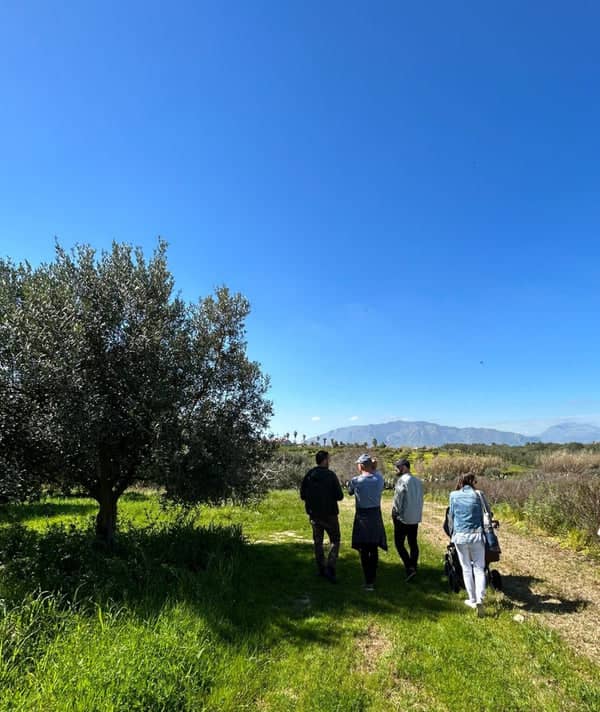 Olive Grove Tour – Balestrate