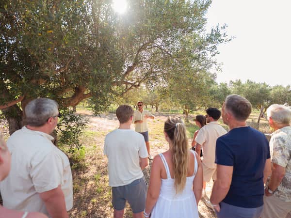 Olive Grove Tour – Balestrate