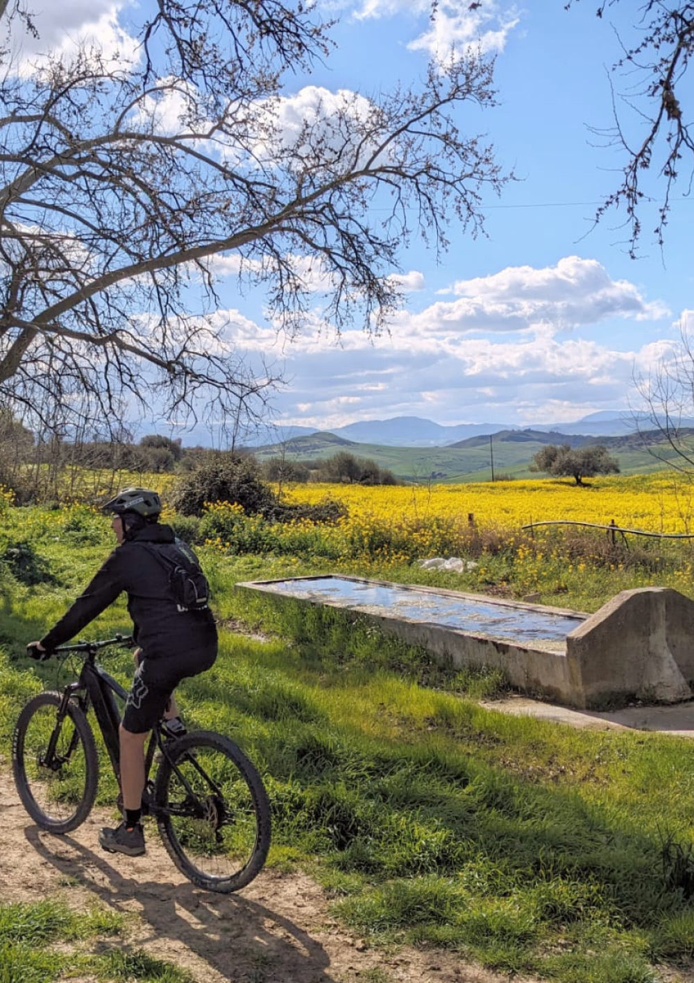 Regaleali: e-bike tour e degustazione