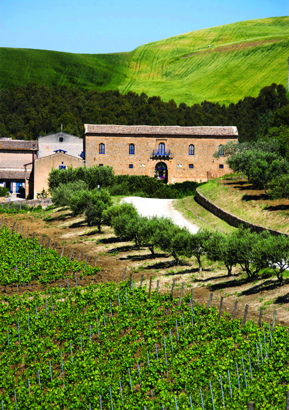 Regaleali: Le Grandi Vigne