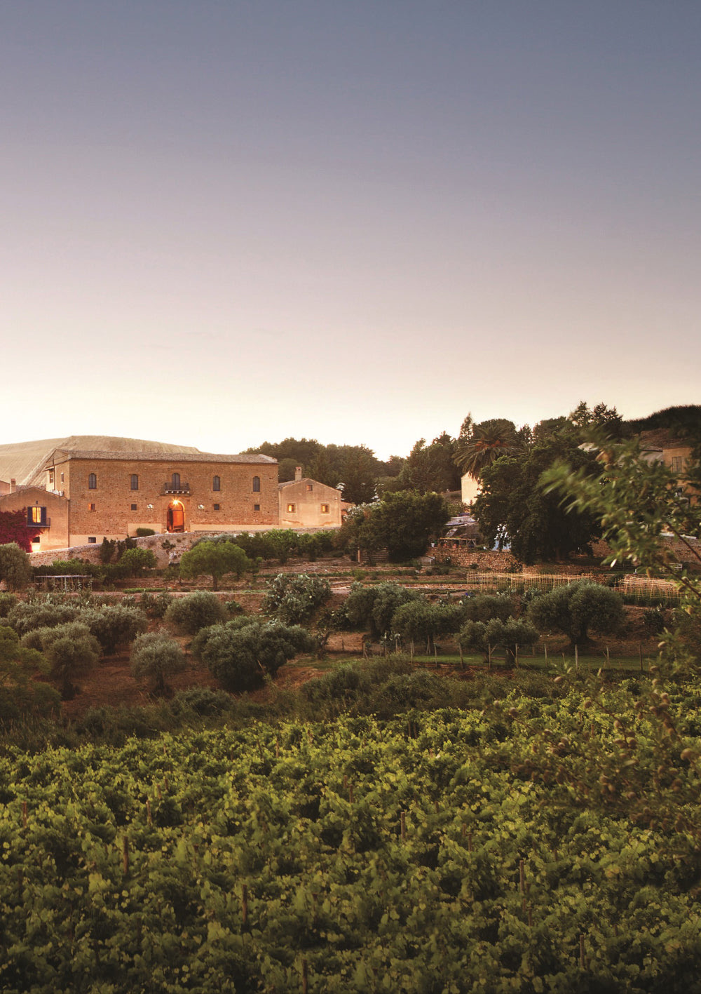 Regaleali: Le Grandi Vigne a Tavola