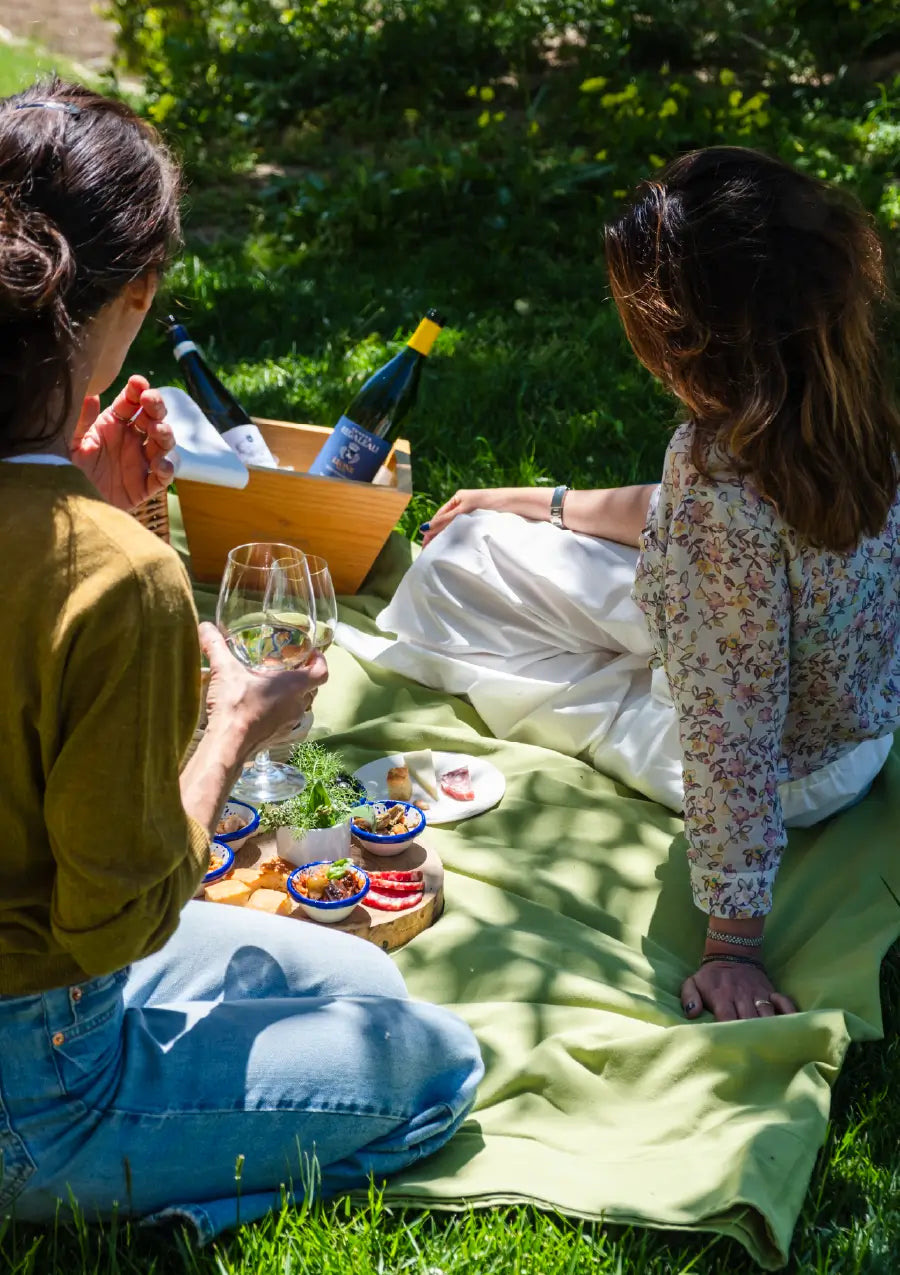 Regaleali: picnic tra i filari