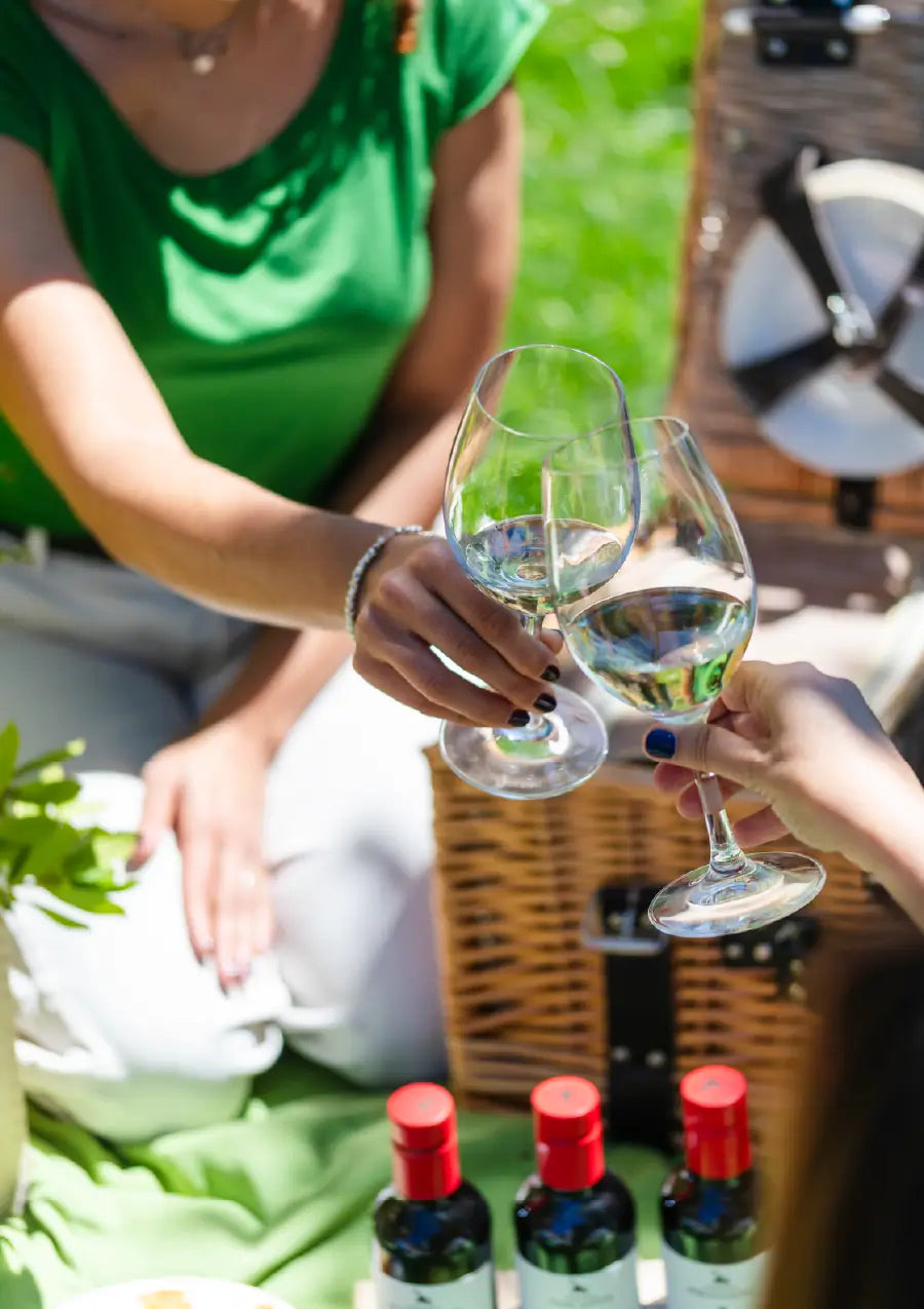 Regaleali: picnic tra i filari