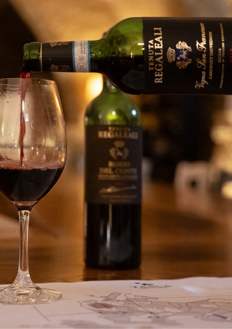 Regaleali: vineyard trekking and lunch with tasting