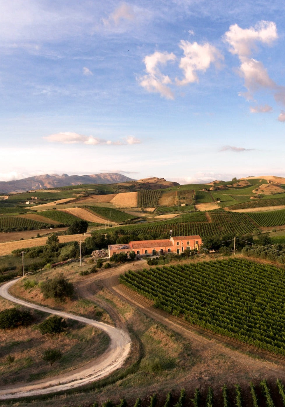 Sallier de La Tour: discovering the estate