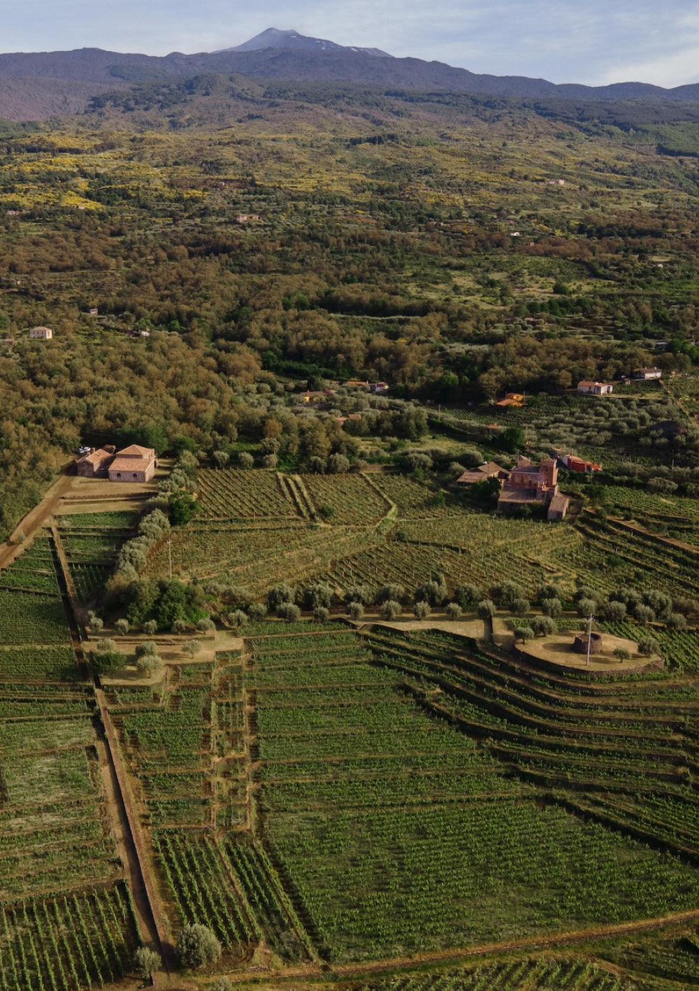 Tascante: alla scoperta della Tenuta