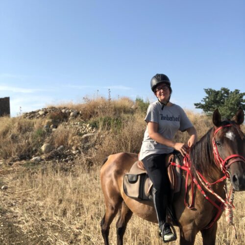 Horseback Olive Tree and Vineyard Estates