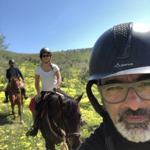 Horseback Olive Tree and Vineyard Estates