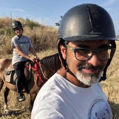 Horseback Olive Tree and Vineyard Estates