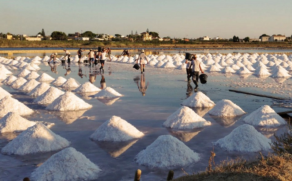 Tour of the Salt pans at Sunrise